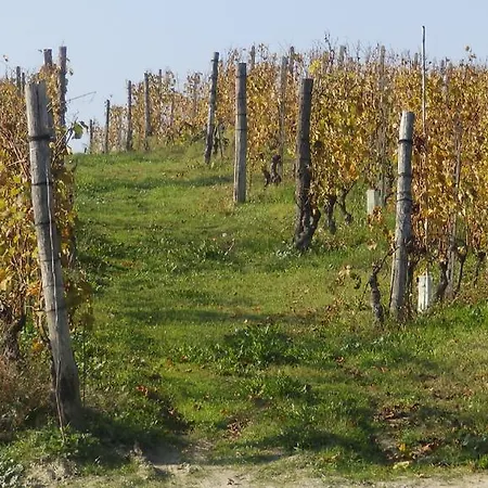 Il Colle Nel Vento B&B *