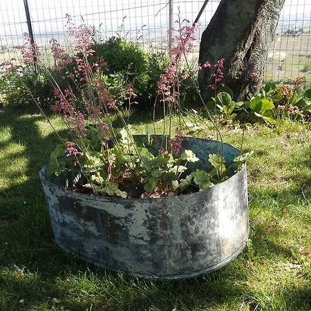 Bed & Breakfast Il Colle Nel Vento *